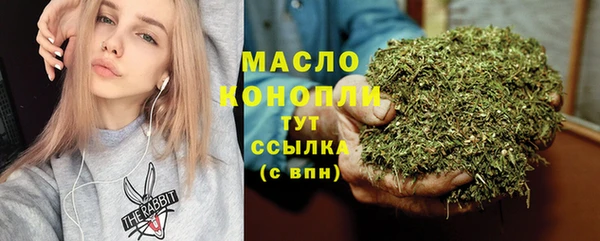 spice Богородицк